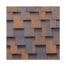 BTM Shingle Dragon